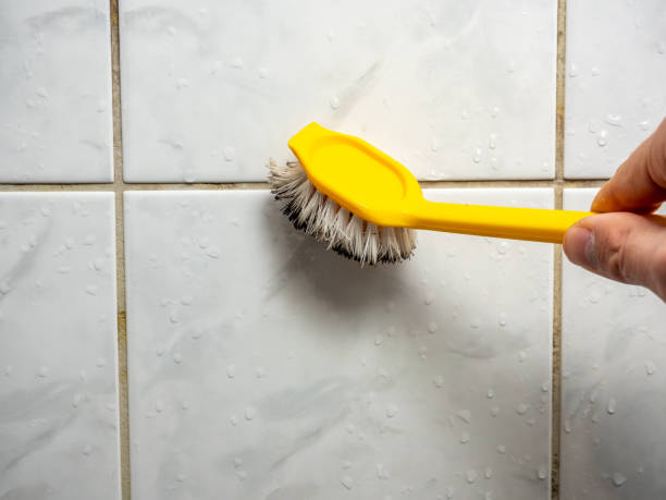 Professional Mold Removal in Corry, PA