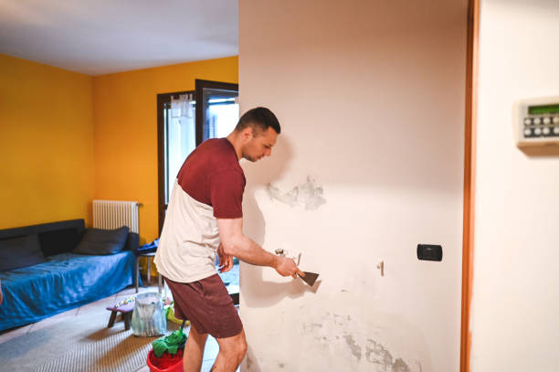 Home Mold Removal in Corry, PA